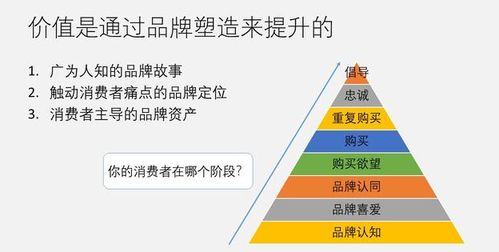 移動(dòng)互聯(lián)網(wǎng)時(shí)代品牌建設(shè)與營(yíng)銷(xiāo)戰(zhàn)略——以互聯(lián)網(wǎng)銷(xiāo)售為核心
